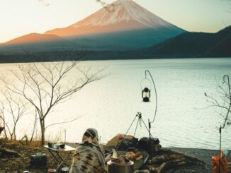 survivre en nature