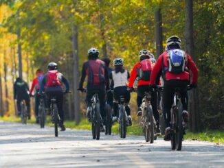 Cyclistes en mouvement sur une route forestière, casques et vêtements colorés visibles