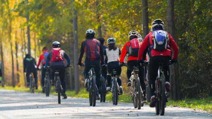 Cyclistes en mouvement sur une route forestière, casques et vêtements colorés visibles