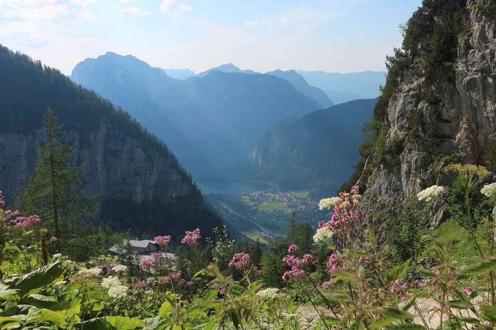 Vue panoramique de montagnes avec des fleurs et une végétation luxuriante sous un ciel lumineux Vue panoramique de montagnes avec des fleurs et une végétation luxuriante sous un ciel lumineux