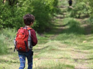 Randonner avec ses enfants sans stress : adapter la marche à chaque âge