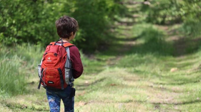 Randonner avec ses enfants sans stress : adapter la marche à chaque âge